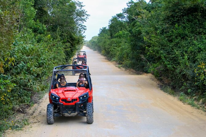 Jungle Buggy Tour from Playa del Carmen Including Cenote Swim - Pickup from Playa del Carmen and the ride to the ranch