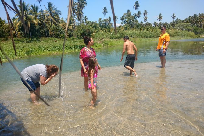 Jungle Coyuca Lagoon Boat Ride Experience & Baby Turtle Release - Why Coyuca Lagoon makes a good break from Acapulco