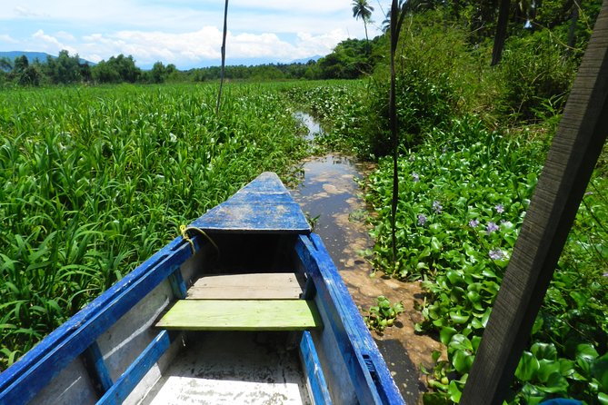 Jungle Coyuca Lagoon Boat Ride Experience & Baby Turtle Release - Cruising through Laguna de Coyuca