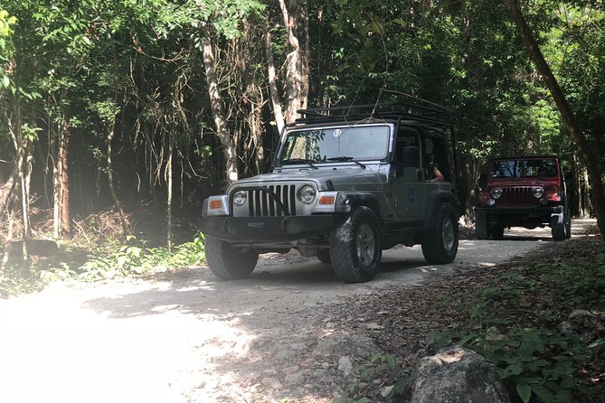 Jungle Jeep Adventure to Mayan Caves, Cenote and Snorkel - Cenote Aerolito de Paraiso: set your expectations