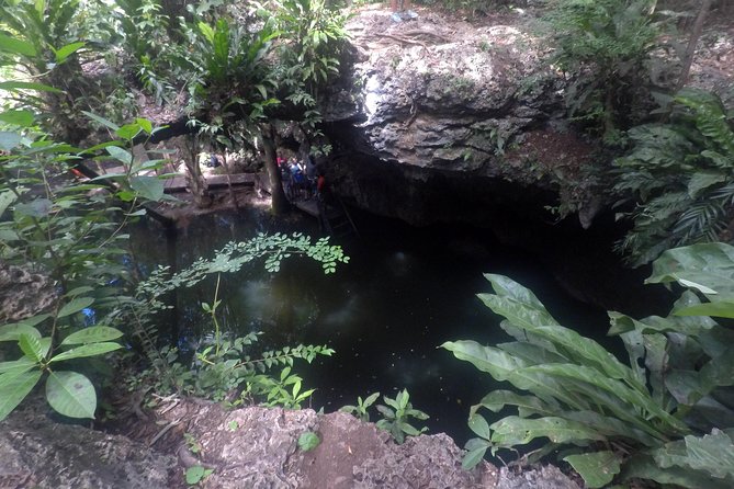 Jungle Jeep Adventure to Mayan Caves, Cenote and Snorkel - Snorkeling at Dzul Ha Reef