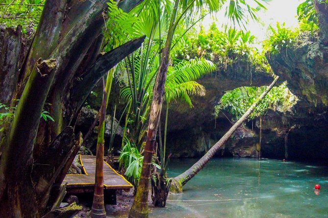 Jungle Jeep Adventure to Mayan Caves, Cenote and Snorkel - Starting at Mayan Plaza in Cozumel
