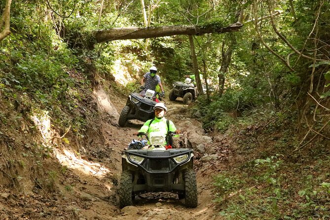 Jungle Single ATV Tour "El Mirador" - Mountain views, plants, animals, and photo stops