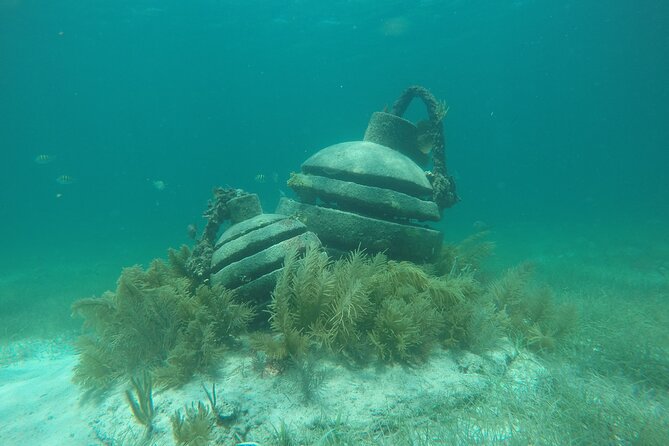 Jungle Tour & Snorkel at Punta Nizuc Reef , Underwater museum - Driving from Marina Puerto Madero through the mangroves