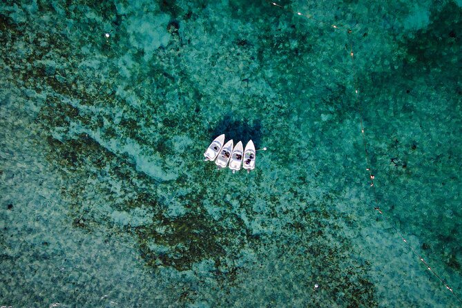 Jungle Tour & Snorkel at Punta Nizuc Reef , Underwater museum - What changing weather means for your outing