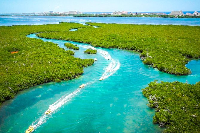 Jungle Tour with Snorkel in Cancun - The Reef and Underwater Museum Stop