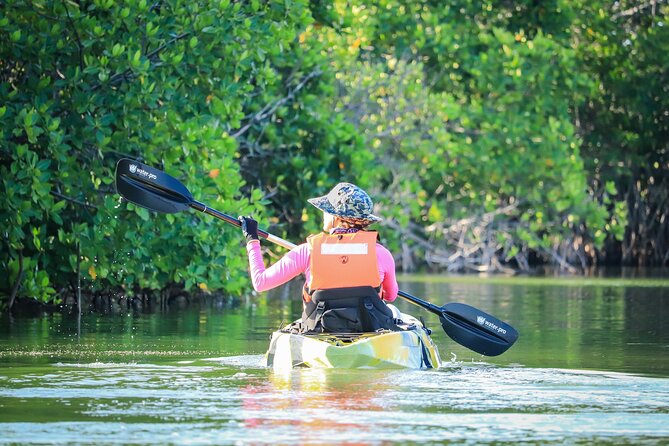 Kayak Adventure in Cancun - Mangrove channels, bird calls, and patient wildlife watching