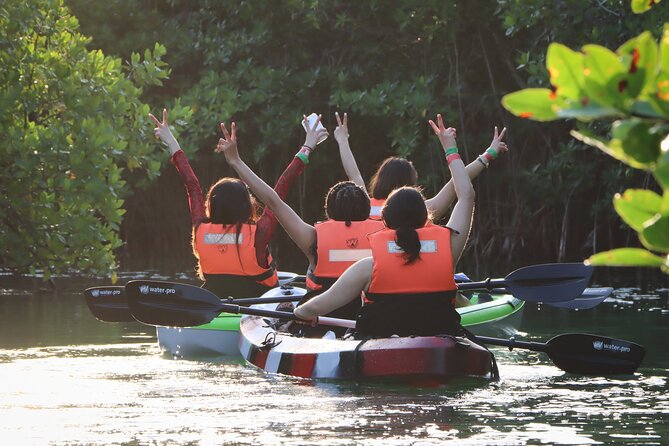 Kayak Adventure in Cancun - How the $47.73 price holds up