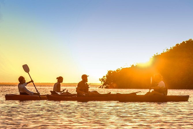 Kayak adventure through Laguna Nichupté in Cancun - The first paddle through the mangroves