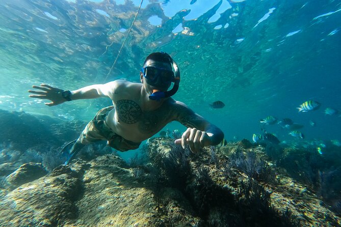 Kayak Expedition to the Arch of Cabo San Lucas, Lovers Beach & Snorkel - Guide support makes a real difference