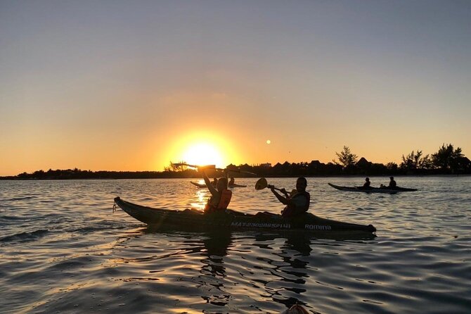 Kayak Mangroves Sunrise Experience - A gentle three-hour paddle, not a race