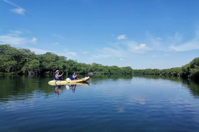 Kayak TOUR POR Laguna Nichupte Cancun - Choosing the right departure time