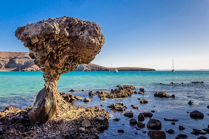 La Paz, Balandra and Todos Santos from CABO and San Jose - The van ride home and the comfort question