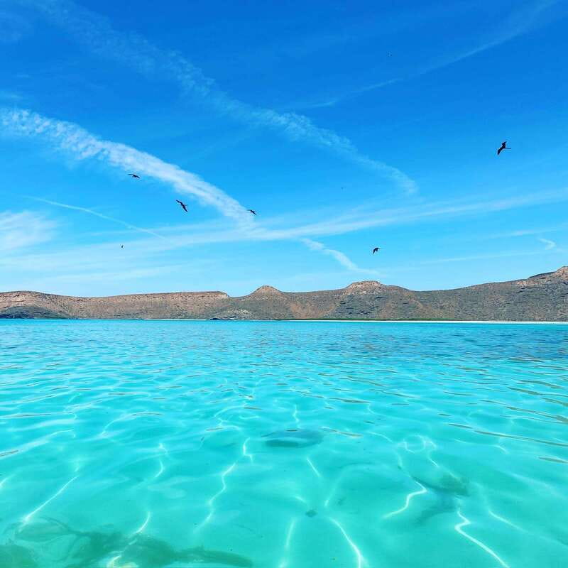 La Paz: Espiritu Santo Island Tour - Key Points