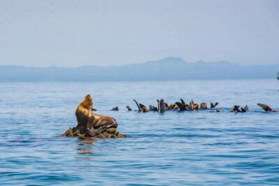 Espiritu Santo Island Tour