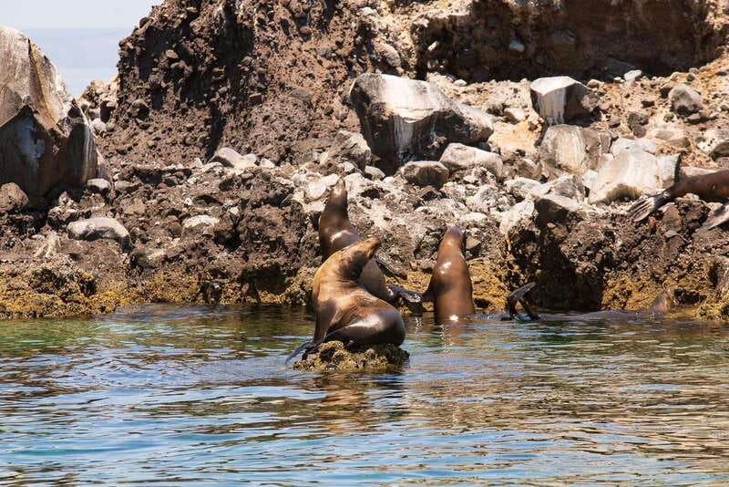La Paz: Espiritu Santo Island Tour - Balandra Beach for the Final 100 Minutes