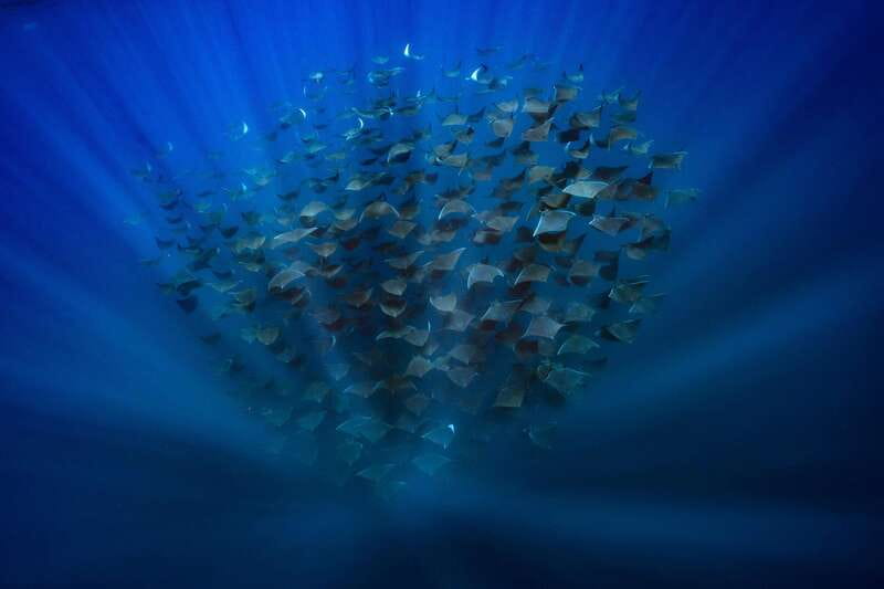La Paz or La Ventana: Ocean Safari - What the five hours feel like