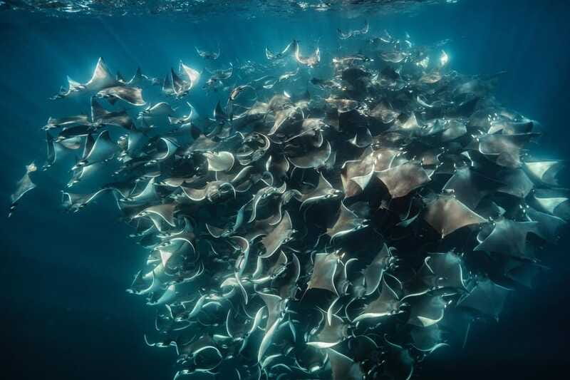 La Paz or La Ventana: Ocean Safari - Is $175 a fair price?