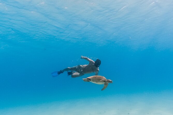 La Paz World Class Snorkeling in Balandras Hidden Beaches - Snorkeling near Balandra