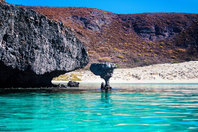 La Paz World Class Snorkeling in Balandras Hidden Beaches - Sea lions, Mushroom Rock, and the advertising gap