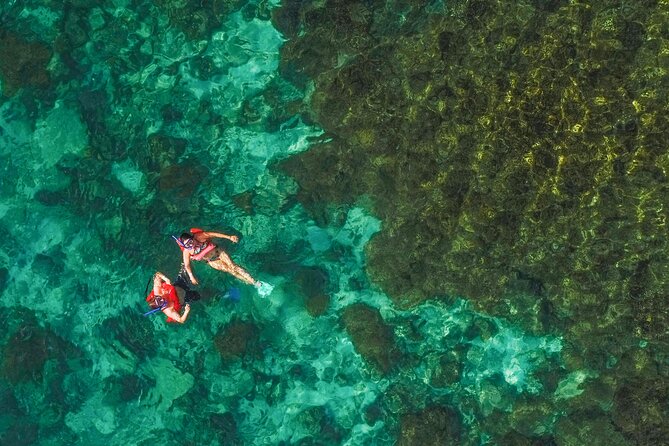 La Paz World Class Snorkeling in Balandras Hidden Beaches - The beach stop and kayaking
