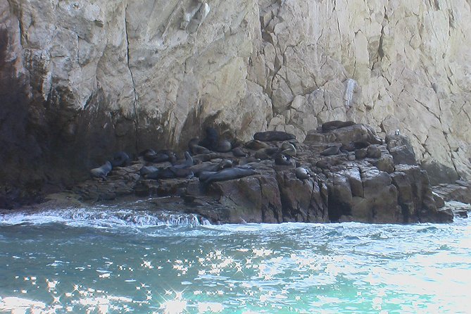 Land's End Tour Basic - Lover’s Beach, Pelican Rock, and the Arch