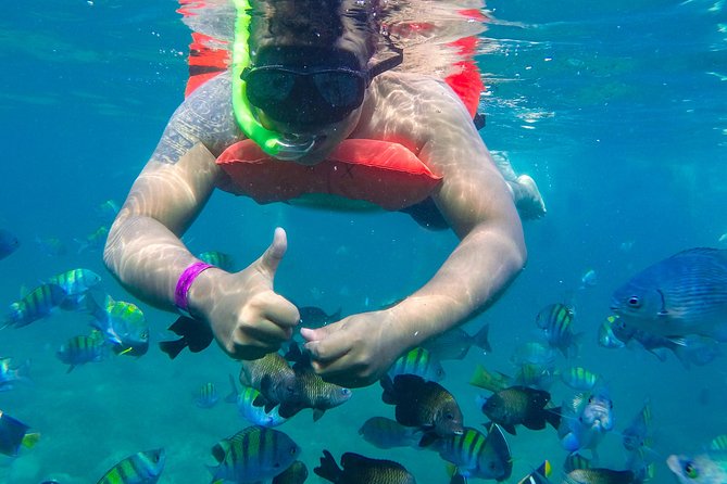 Las Caletas Beach & Adventure Park with buffet lunch and open bar - What the schedule really feels like