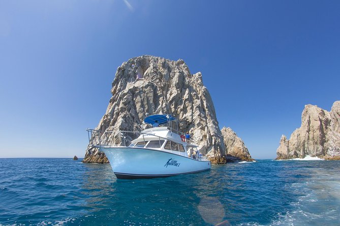 Learn to Scuba Dive in Cabo San Lucas with PADI - What the 30-minute underwater session feels like