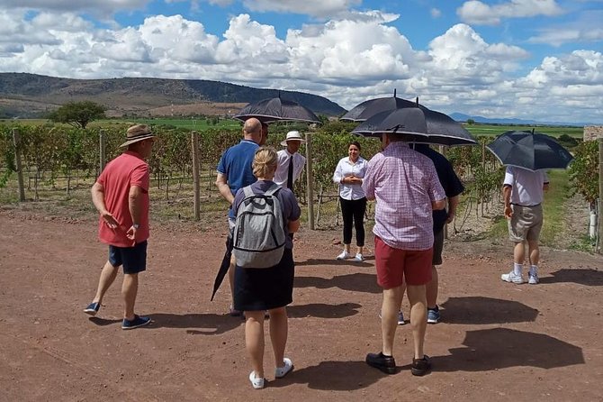 Local Vineyard Tour & Wine Tasting at the Independence Valley - Walking the vineyard and seeing the architecture