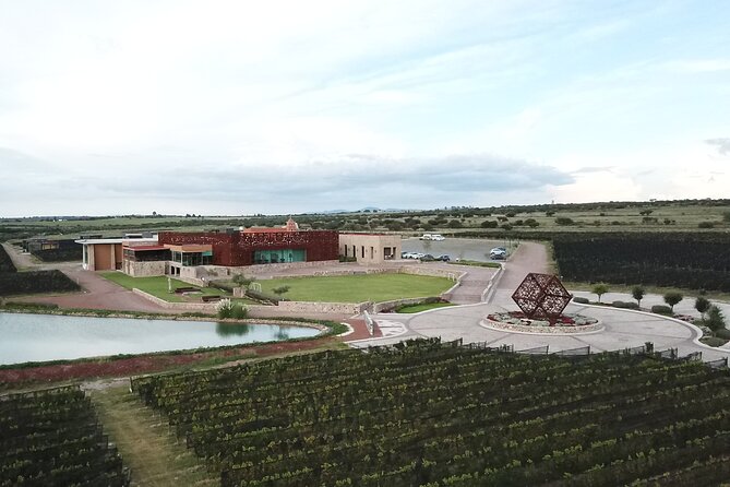 Local Vineyard Tour & Wine Tasting at the Independence Valley - Who will enjoy this afternoon most