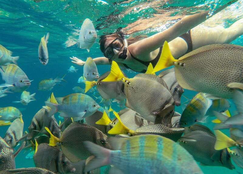 Los Cabos Arch & Lover’s Beach Tour + Snorkeling Tour - The guide makes the difference