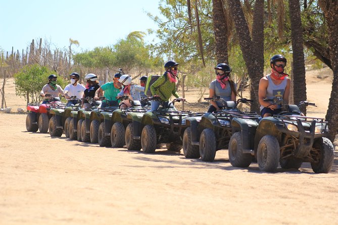 Los Cabos ATV and Pacific Horseback Riding Combo Tour - ATV trails through cactus and canyon country