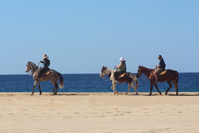 Los Cabos ATV and Pacific Horseback Riding Combo Tour - Best departure time for your Cabo schedule