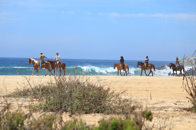 Los Cabos ATV and Pacific Horseback Riding Combo Tour - Getting oriented before the rides