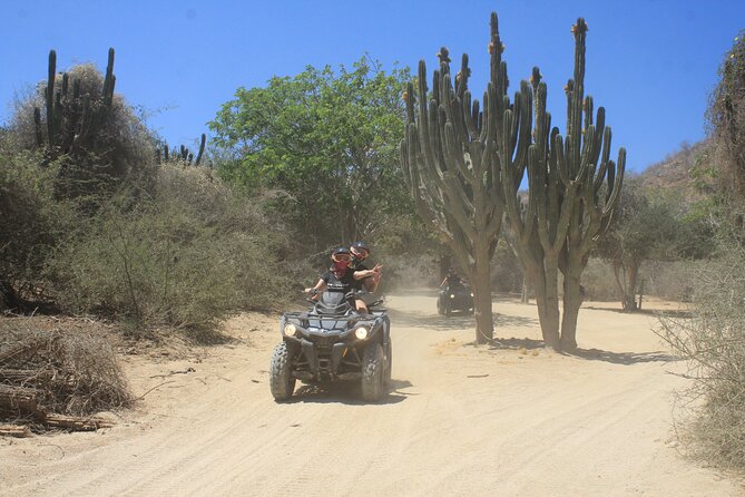 Los Cabos Beach & Desert Tour in Automatic ATV + Tequila Tasting - Tequila tasting after the engines stop
