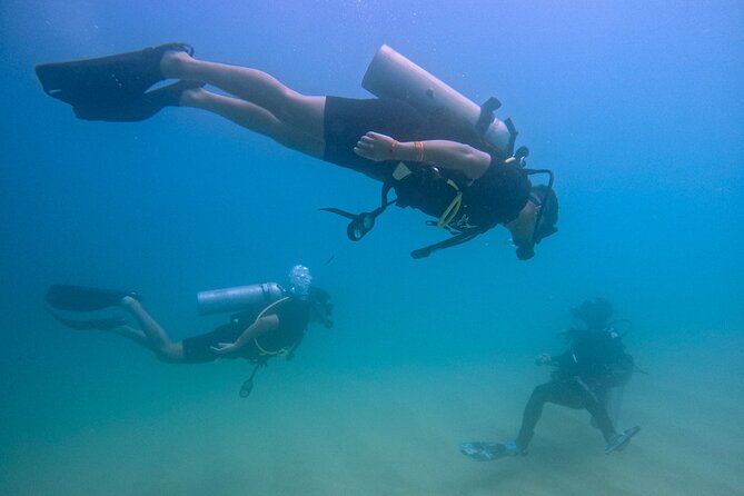 Los Cabos Beginner Scuba Dive Experience - Key points to know before booking