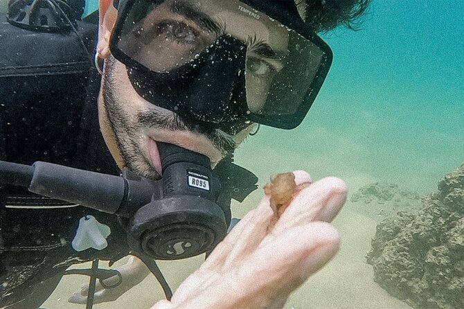 Los Cabos Beginner Scuba Dive Experience - Who will enjoy this experience most