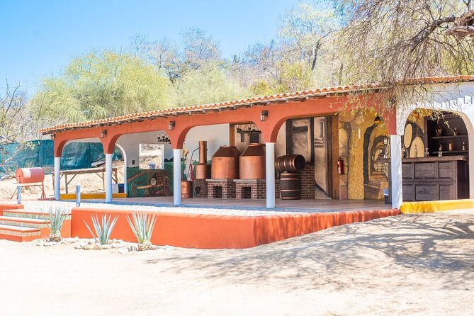 Los Cabos Costa Azul Zipline Eco-Adventure - Practical rules that can make or break your day
