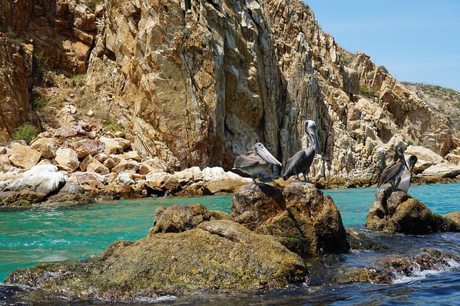 Los Cabos Deluxe City Tour: San Jose, San Lucas and The Arch - The jewelry and pearl stop needs the right attitude