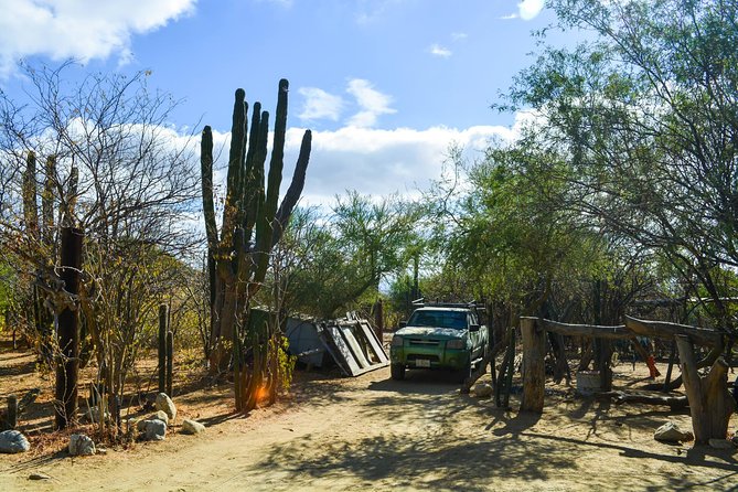 Los Cabos: Hiking at the Fox Canyon with Waterfall - Rancho Ecologico Sol de Mayo and the first look at the canyon