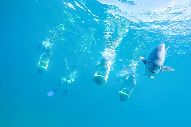 Los Cabos Power snorkel Adventure, Kayaking and Stand-Up Paddle - Key points at a glance