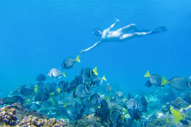 Los Cabos Power snorkel Adventure, Kayaking and Stand-Up Paddle - Food, equipment, and what to pack