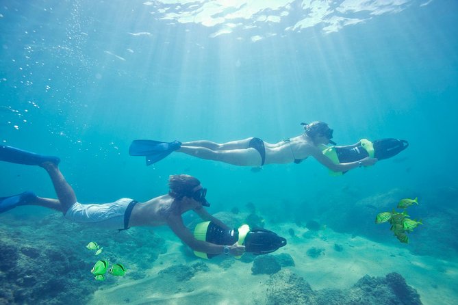 Los Cabos Power snorkel Adventure, Kayaking and Stand-Up Paddle - The guides make a big difference