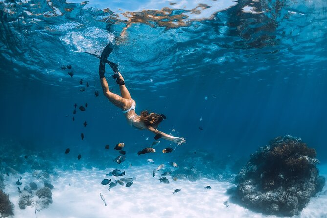 Los Cabos Power snorkel Adventure, Kayaking and Stand-Up Paddle - El Arco and the meeting of two seas