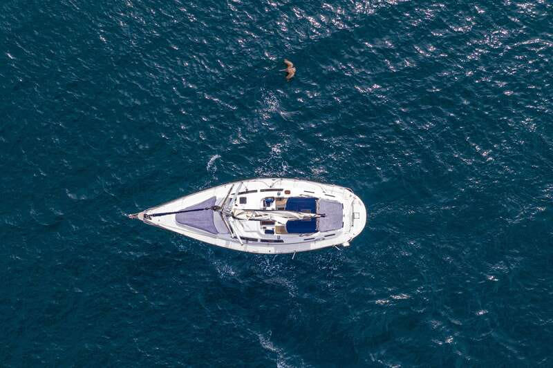 Los Cabos: Shared Sunset Sailing Cruise - Whales, dolphins, and other lucky sightings