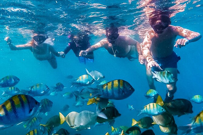 Los Cabos Snorkeling Tour by Speed Boat with Photos Included - A Speedboat View of Cabo’s Sea of Cortez