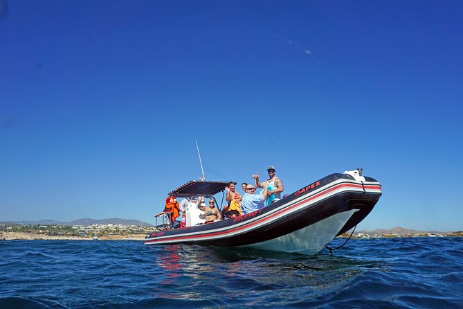 Los Cabos Snorkeling Tour by Speed Boat with Photos Included - How the $89 Price Holds Up