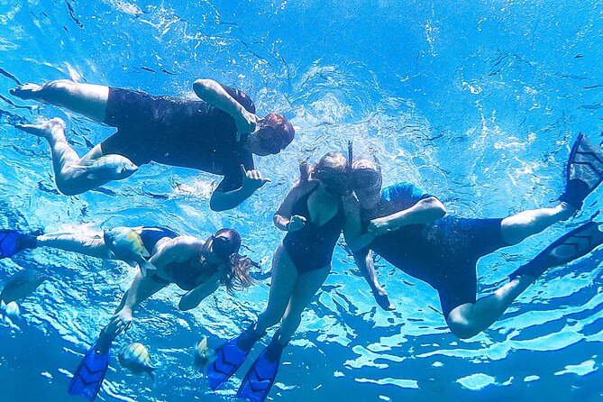 Los Cabos Snorkeling Tour by Speed Boat with Photos Included - Finding Baja Vikings at Plaza API