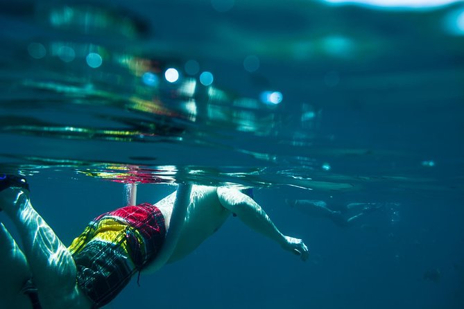 Los Cabos Snorkeling Tour to Chileno Bay and Santa Maria Cove - Transport, timing, and meeting details