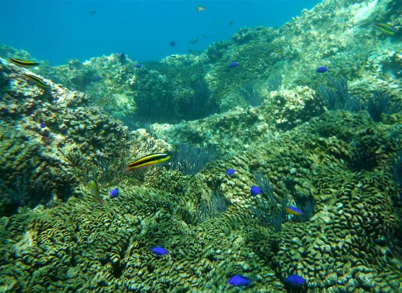 Los Cabos: The Arch and Lover's Beach Kayaking + Snorkeling - Launching into Cabo San Lucas Bay